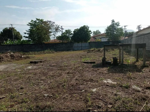Terreno Plano. Excelente Localização