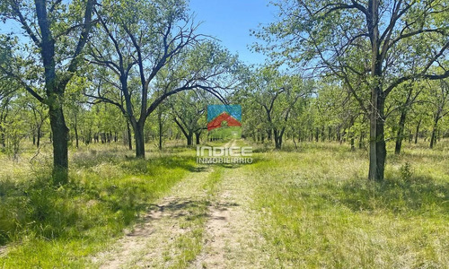 Imagen 8 de 25 de Terreno - San Ignacio