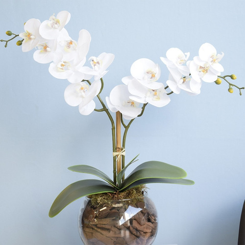 Arranjo De Orquídeas Branca Toque Real No Vaso Transparente | Frete grátis