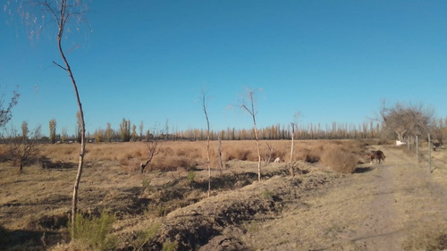 Imagen 5 de 19 de Vendo Finca De 6 Ha Y Fracción, Con Casa De De Gran Dimensión!!