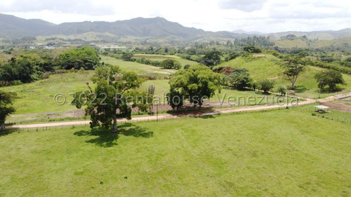 Julio Latouche 25-16896 Finca Ganadera En Venta Carabobo, 267 Hectáreas, Casa Principal De 550 Mts2, Dos Lagunas Para Riego.