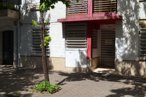 Imagen 2 de 18 de Departamento 1 Dormitorio - Planta Baja - Abasto