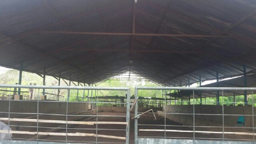Imagen 6 de 14 de Finca En Venta En San Jose De Guaribe