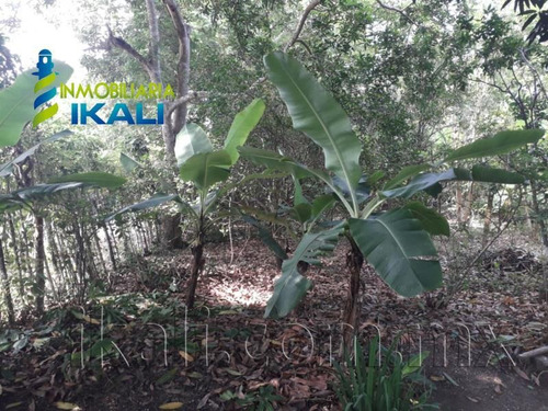 Imagen 4 de 9 de Terreno En Venta Unión Kilómetro 31