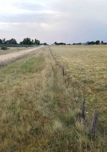 Vendo O Permuto Chacra De 2 Hectareas A 40 Minutos De Tandil
