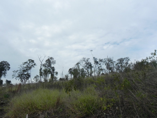 (k.a) Topografia Plana 1.000m² Com Parcelas Apenas De R$966,