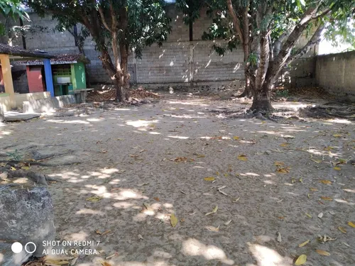 Terreno En Los Tamarindos (jd)