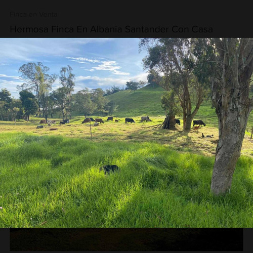 Hermosa Finca Ubicada La Mesa Albania Santander