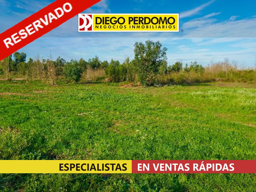 Terrenos, En Venta, Playa Pascual
