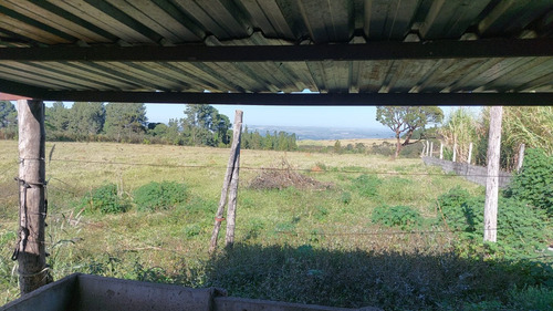 Vendo Fazenda Proximo A Brazlandia