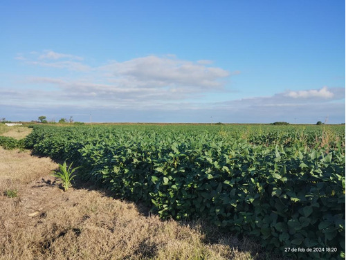 Campo En Venta - 102 Hectáreas - Córdoba