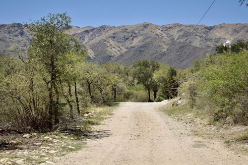 Imagen 7 de 17 de Lote En Carpintería De 1992m2 En Esquina