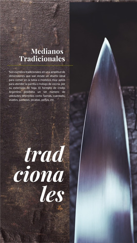 Imagen 4 de 9 de Mediano Tradicional Teju T