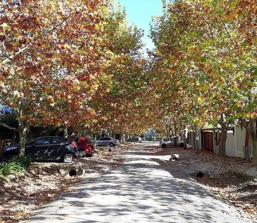 Imagen 6 de 12 de Terreno - City Bell