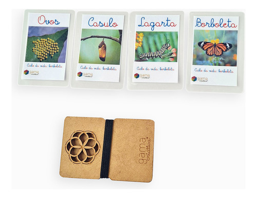 Material Didático Escolar Ciclo Da Vida Da Borboleta (4un)