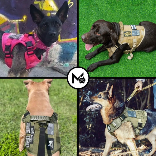 Imagen 6 de 10 de Pechera Táctica Perro + Collar + Paseador + Parche /talla Xl