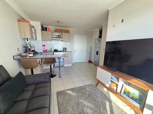 Se Vende Departamento En Concepción