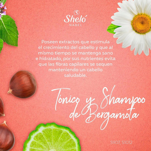 Imagen 7 de 8 de Shampoo Bergamota Crecimiento Cabello Alopecia Anticaída