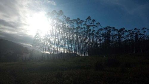 Imagem 8 de 14 de 08 - Terrenos 800 M² Em Arujá, Aceitamos Veiculo