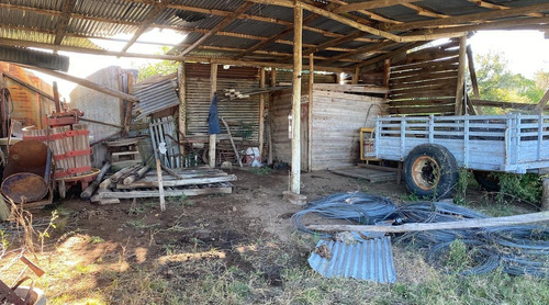 Imagen 28 de 30 de Se Vende Campo De 77 Has En Maldonado. A Pocos Km De Aiguá En Zona De Ruta 39. Ubicación Privilegiada!