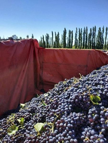 Imagen 15 de 30 de 3 Fincas Con Bodega En Venta Cañada Seca.