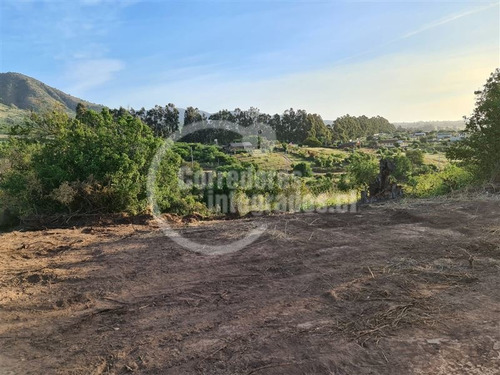 Imagen 8 de 16 de Sitio En Venta Condominio