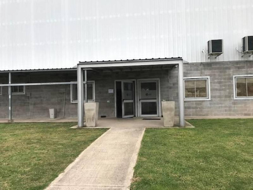 Imagen 9 de 13 de Alquiler De Deposito 4.000 M2 - Tortuguitas