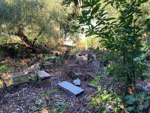 Terreno En Venta - Avenida Luis Braile Prox. Camino Maldonado
