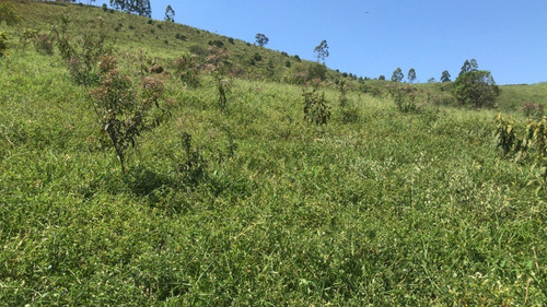 Imagem 1 de 6 de Yg04 - Lotes Imperdíveis Em Igaratá! 1000m² Conquiste Já!