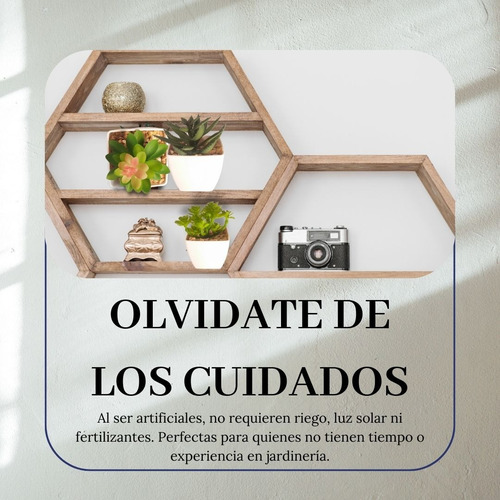 8 Plantas Suculentas Artificiales Decorativas De Plástico Verde