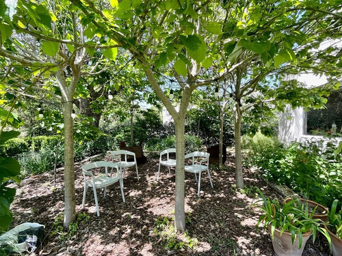 Imagen 23 de 26 de Casa En Venta Country El Bosque