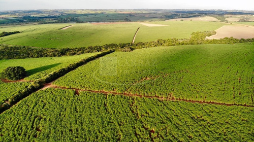 Excelente Fazenda Para Venda Em Itapetininga-sp, Com 244 Alqueires, Formada Em Cana, Frente Para Rodovia Castelo Branco, Rica Em Agua, Rio Nos Fundos - Fa00084 - 69245340