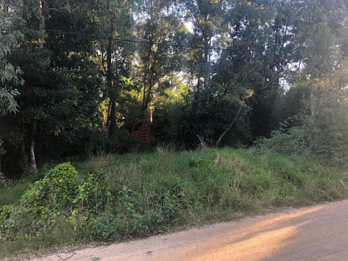 Imagen 1 de 7 de Oportunidad Terreno La Barra - La Barra El Tesoro