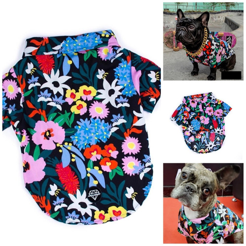 Ropa Para Perros - Camisa Para Perros - Camisa Kenia