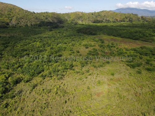 Maribel Morillo & Naudy Escalona Vende Finca En Sabana De Parra Yaracuy Con Potencial Ideal Para La Agricultura,