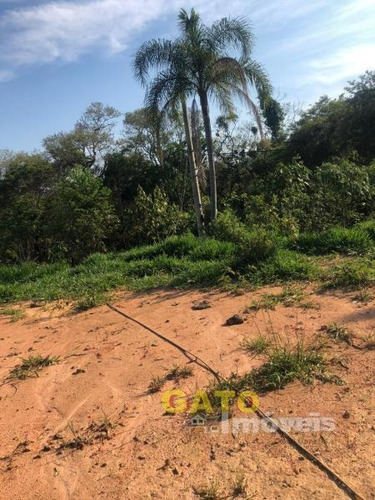 Imagem 5 de 7 de Chácara Para Venda Em Cajamar, Ponunduva - 19259_1-1327600