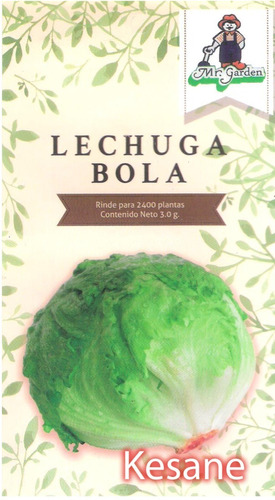 2400 Semillas Lechuga Bola Sembrar 3grs Con Instrucciones