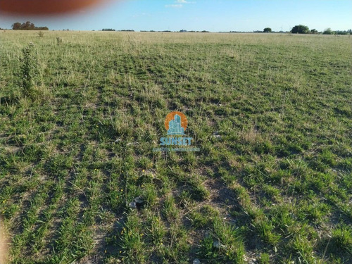 Florida Estancia De 204 Hectareas Con Casa De 4 Dormitorios - Ref: 288
