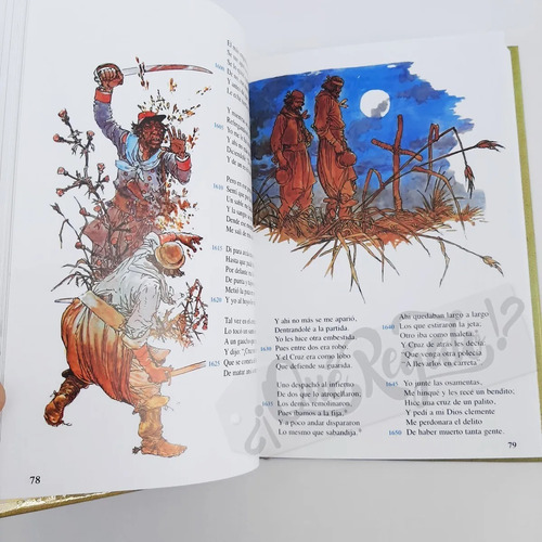 Libro Martin Fierro - Anotada Ilustrada Con Vocabulario -