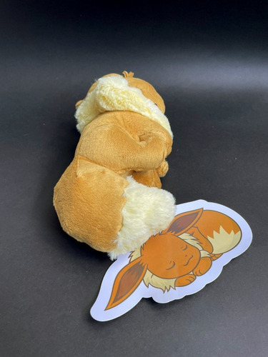 Eevee A Nightwalker Pokemon Center