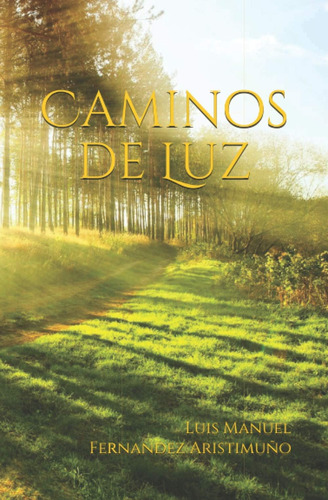 Libro Caminos Luz (spanish Edition)