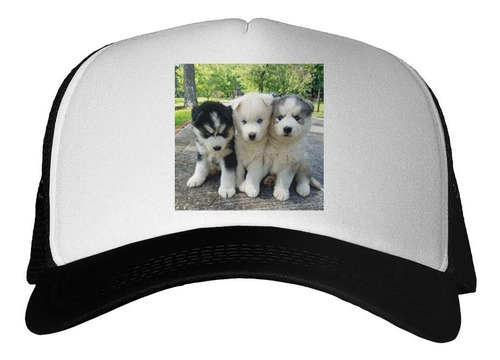 Gorra Husky Siberiano Cachorros