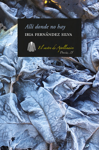 Allãâ Donde No Hay, De Fernández Silva, Iria. Editorial El Sastre De Apollinaire, Tapa Blanda En Español