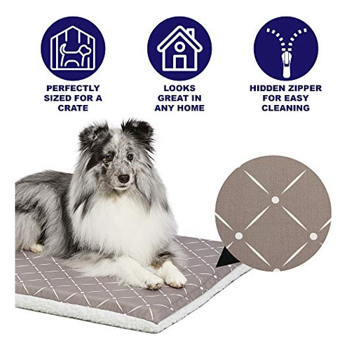 Cama Para Mascotas 30 Con Funda Extraíble Seta