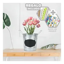 Comprar Macetero Apuntes En Ovalo Puntas Plateado Y+papel De Regalo