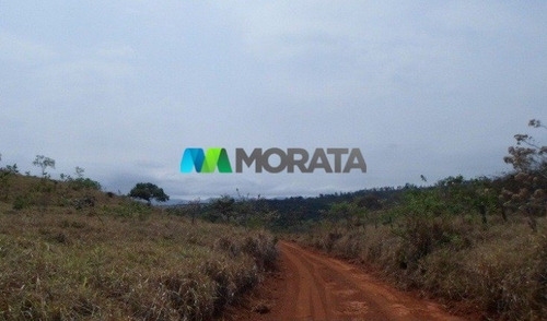 Imagem 12 de 15 de Fazenda - Zona Rural - Ref: 4350 - V-mta4350