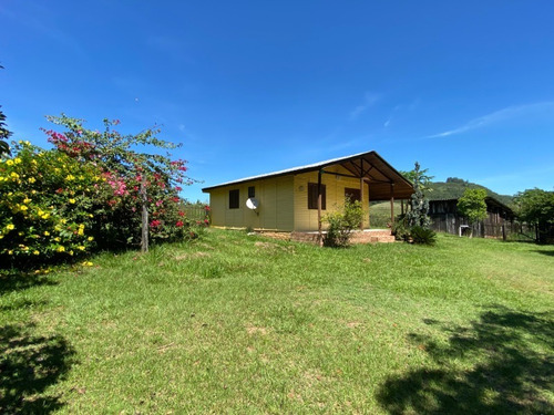 Chácara 4.300 M² - Lomba Grande - Novo Hamburgo - Rs - 2503 - 69237736