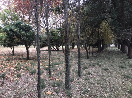 Venta 550 Hectareas Cañuelas Campo Mixto Ideal Ganadero U$s 6500 X Has.