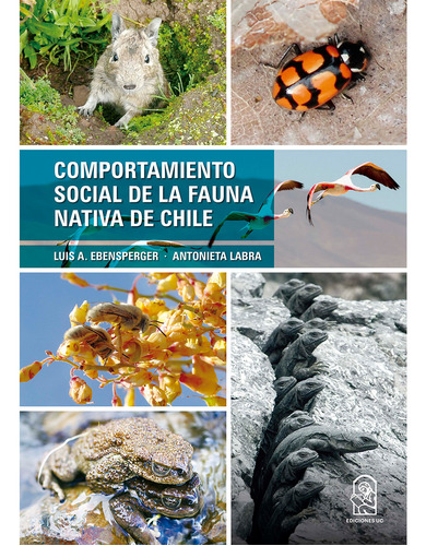 Comportamiento Social De La Fauna Nativa De Chile