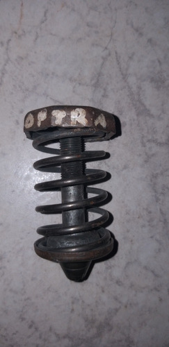 Tornillo Graduador Del Capot Chevrolet Optra 